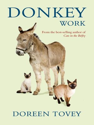 cover image of Donkey Work